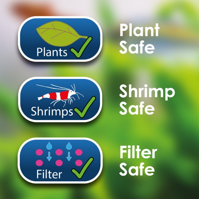 Filter Starter Lifestyle 1