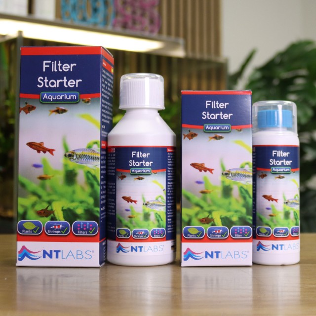 Filter Starter Contents