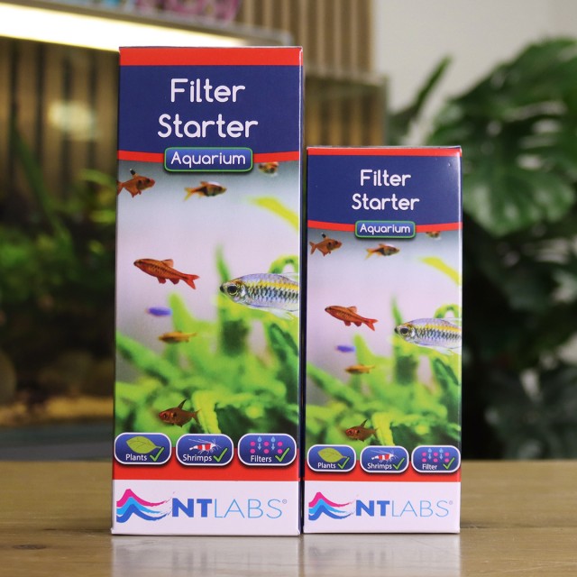 Filter Starter Display