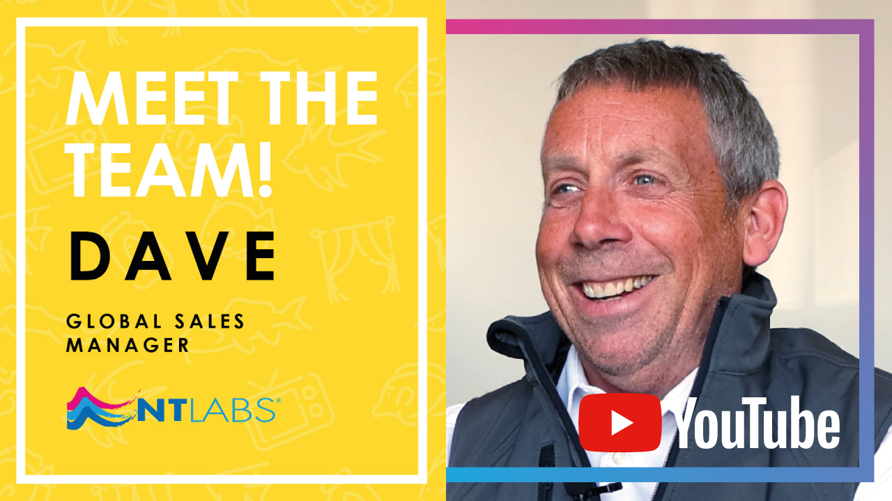 Meet Dave - International Sales Manager