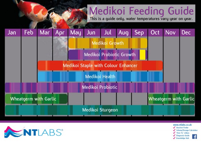 Medikoi feeding guide