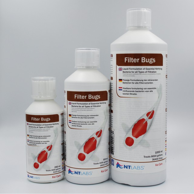 Koi Care - Filter bugs all