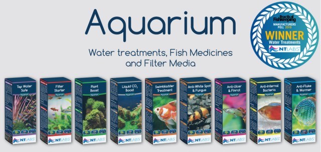 Landing - aquarium