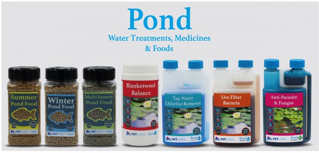Landing page - pond