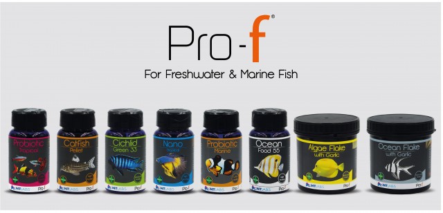 Landing page - pro f 3