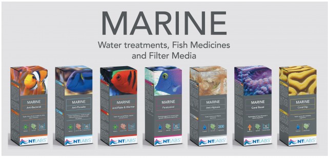 Marine landing page