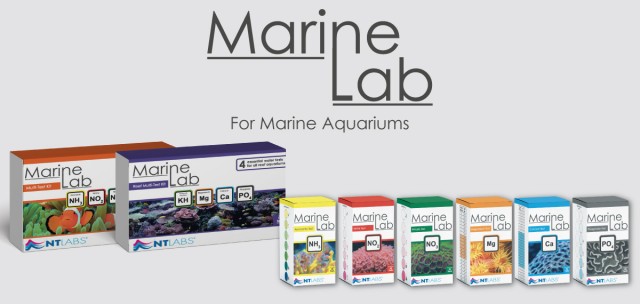 Landing marine lab 4