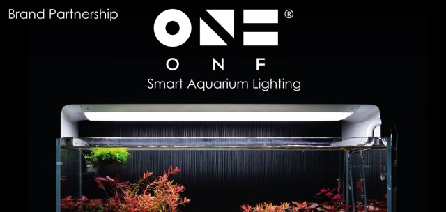 ONF Menu Image