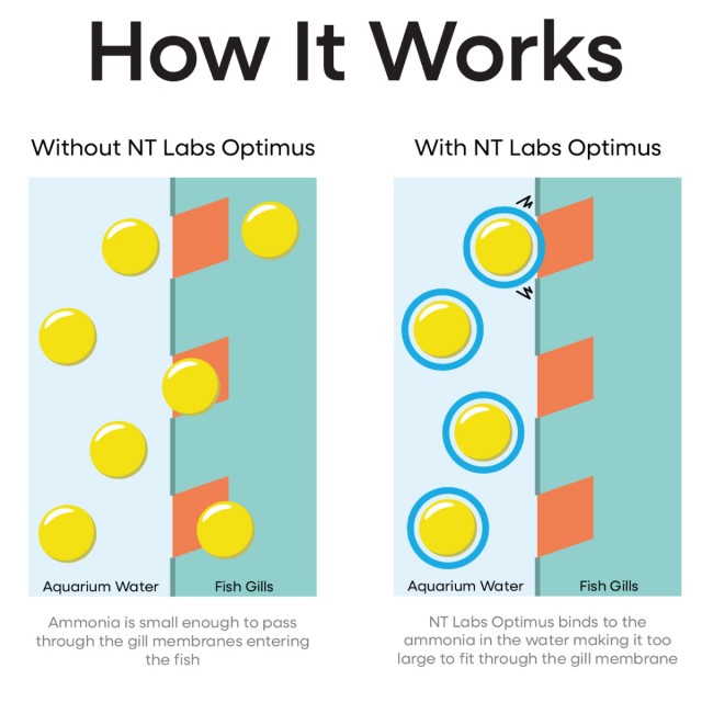 Optimus - how it works