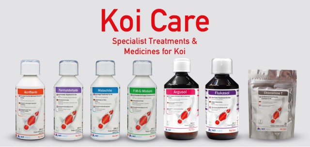 Koi Care Menu