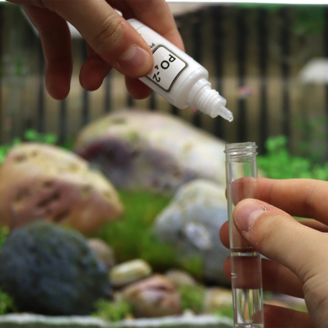 Phosphate Test Lifestyle 1