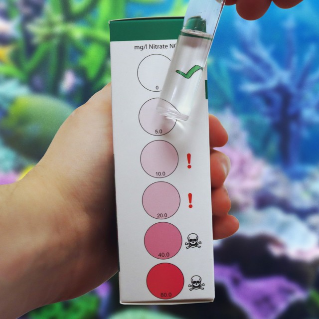 Marine Nitrate Test Lifestyle 2
