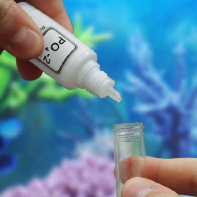 Marine Phosphate Test Lifestyle 1