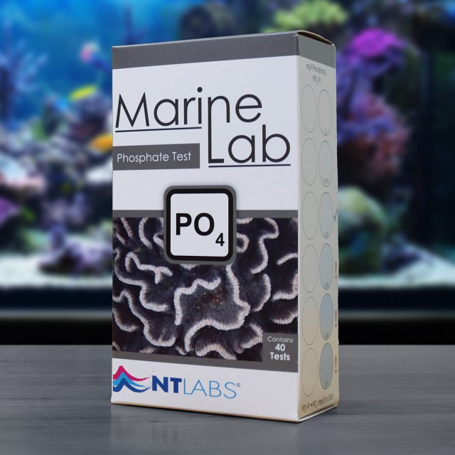 Marine Phosphate Test Display