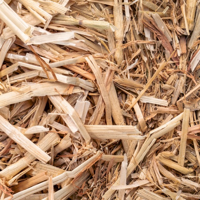 Barley Straw Bio Bag Lifestyle 2