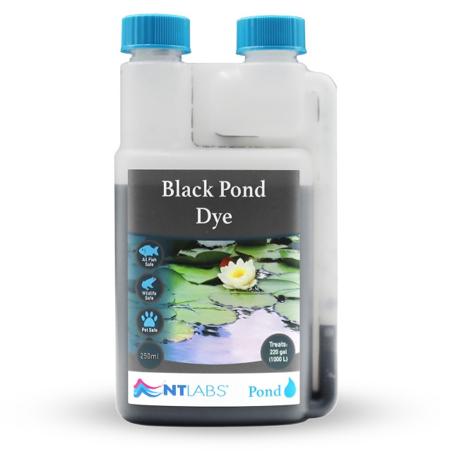 Black Pond Dye Front