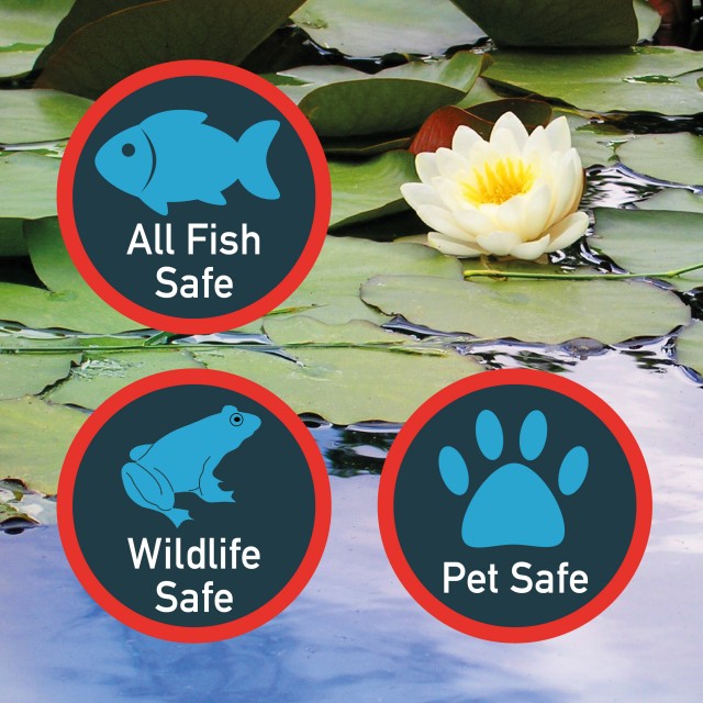 Pond Booster DG