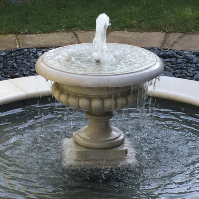 Pond Gleam Lifestyle 2