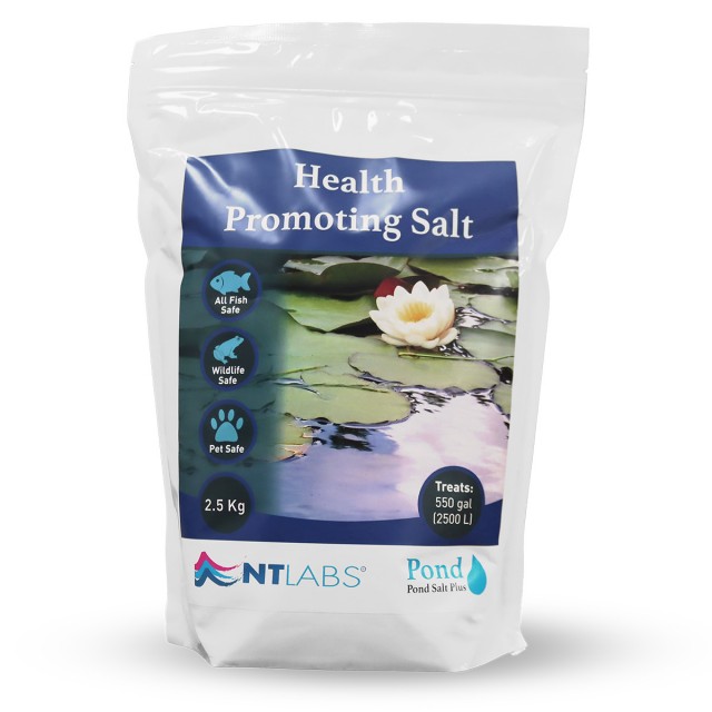 Pond Salt Plus Front
