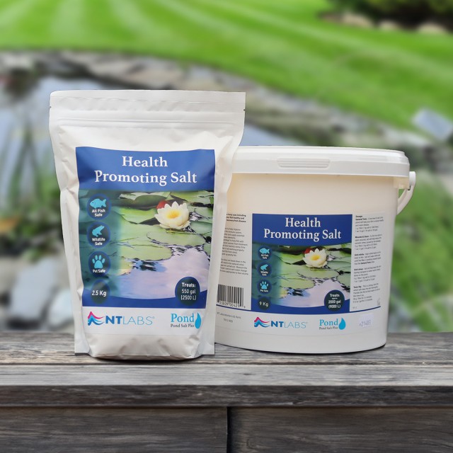 Pond Salt Plus Display