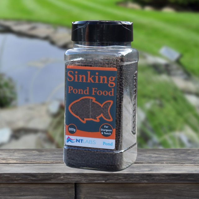 Sinking Pond Food Display