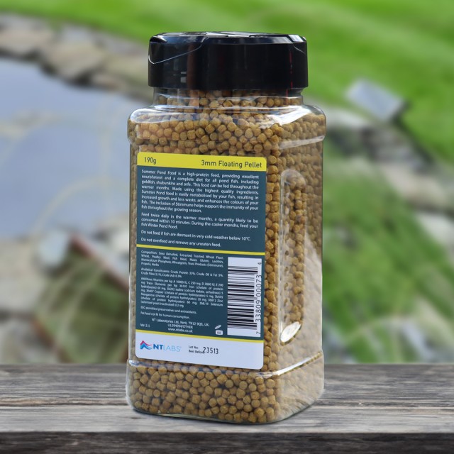 Summer Pond Food Lifestyle 3