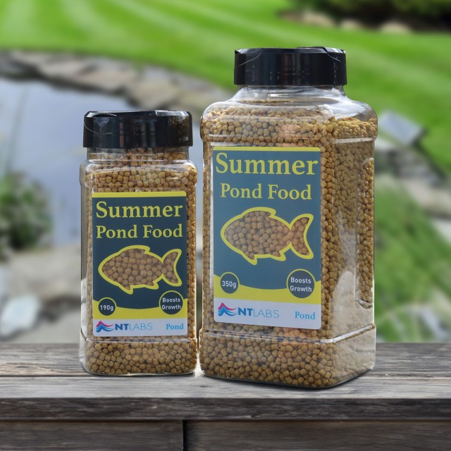 Summer Pond Food Display