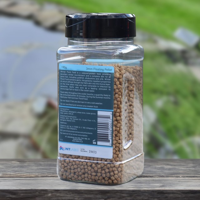 Winter Pond Food Lifestyle 3