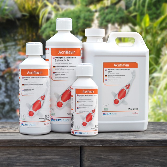 Acriflavin Display