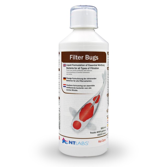 Filter Bugs Front