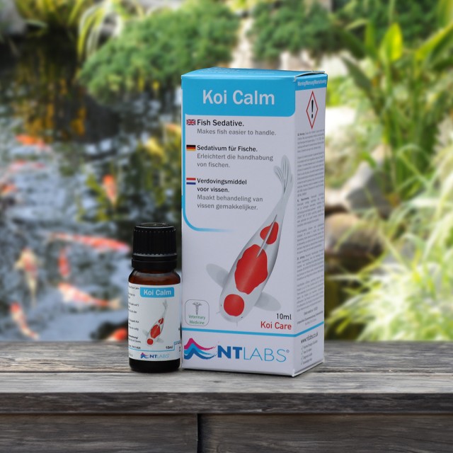 Koi Calm Contents