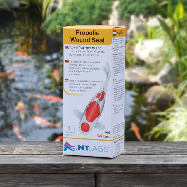 Propolis Display