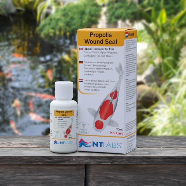 Propolis Contents