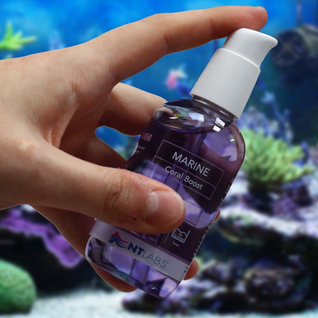 Marine Coral Boost Lifestyle 1