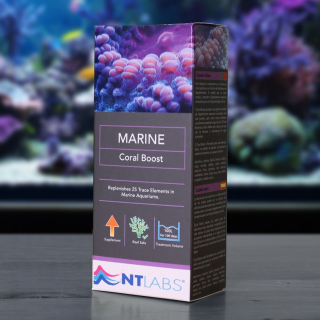 Marine Coral Boost Display