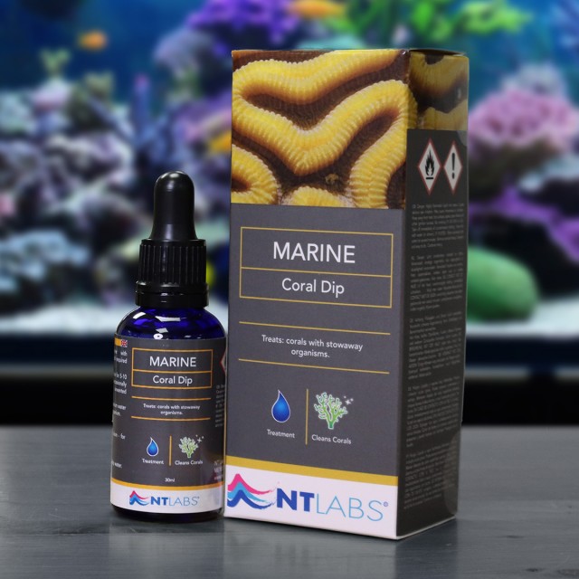 Marine Coral Dip Contents