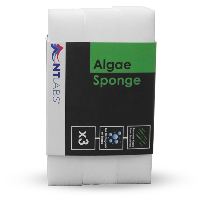 Algae Sponge Front