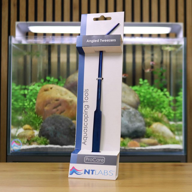 Angled Tweezers Display