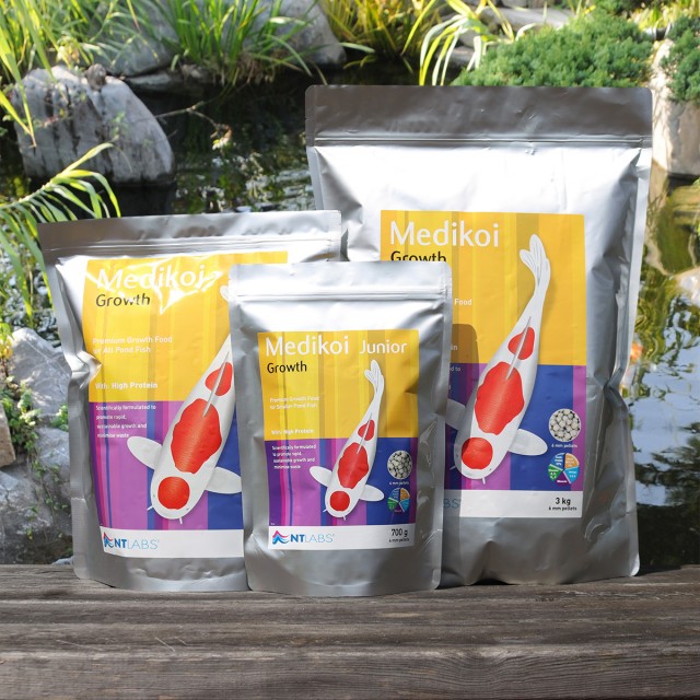 Medikoi_Growth Display