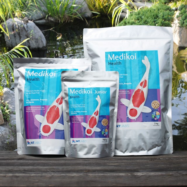 Medikoi_Health Display