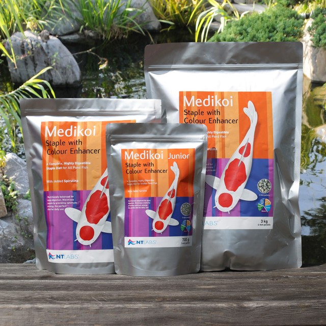 Medikoi_Staple Display