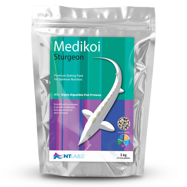 Medikoi_Sturgeon Front