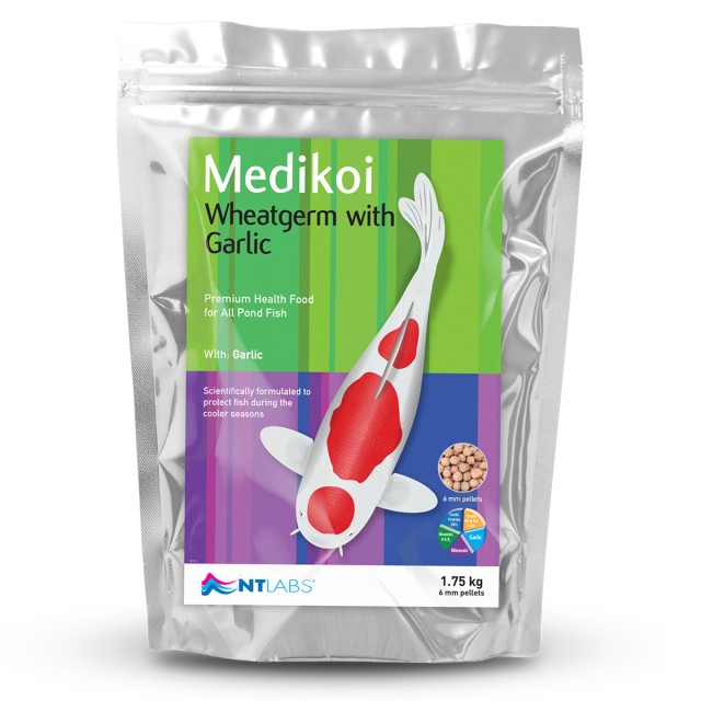 Medikoi_Wheatgerm Front