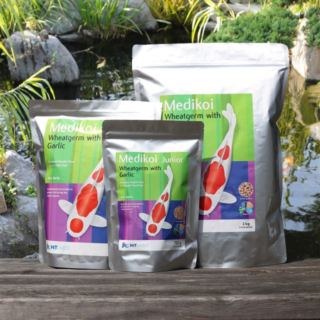 Medikoi_Wheatgerm Display