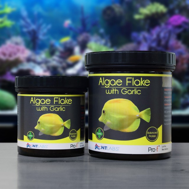 Algae Flake with Garlic Display