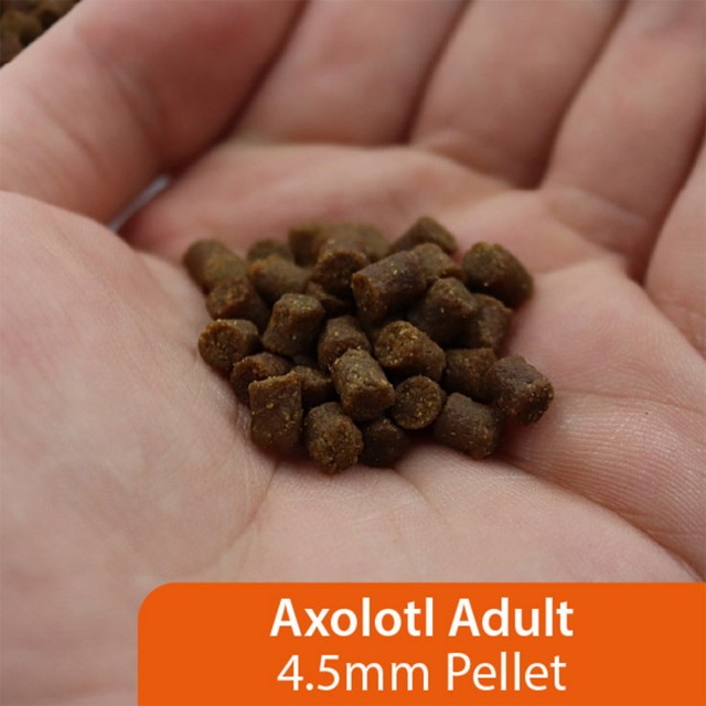 Axolotl Food LS3