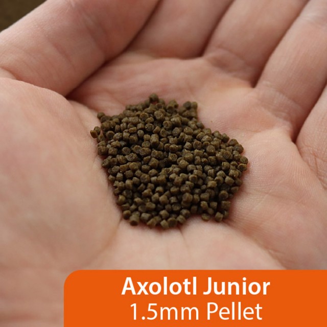 Axolotl Food LS2