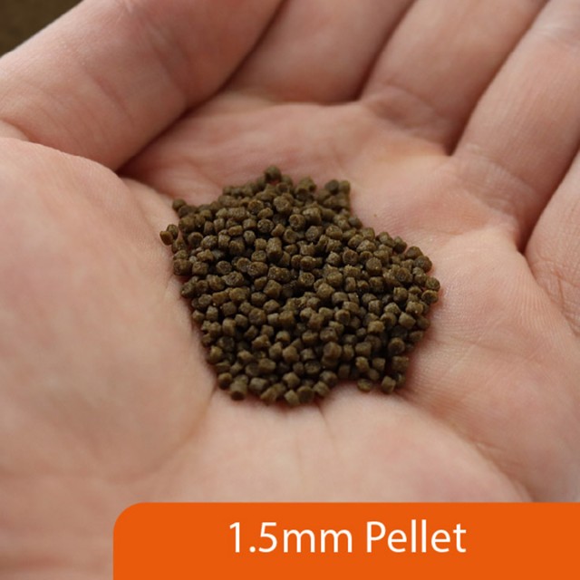 Catfish Pellets LS2