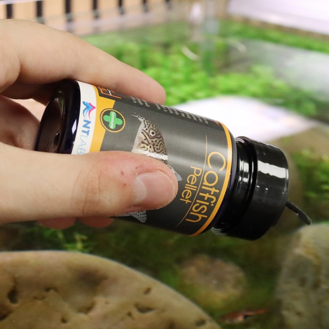 Catfish Pellets LS1