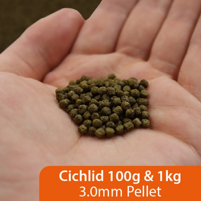 Cichlid Green LS3